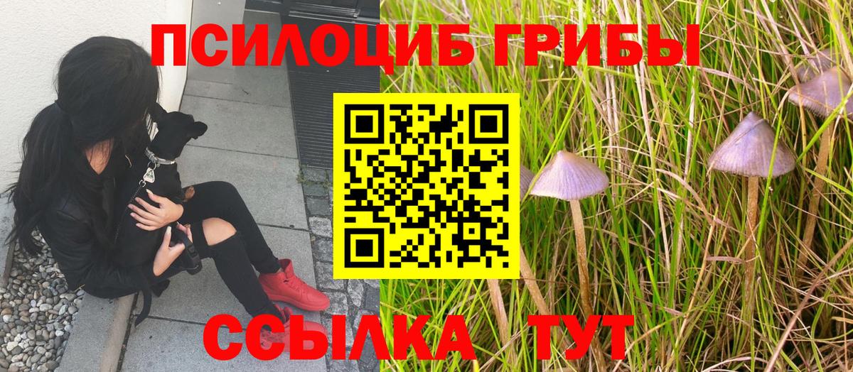 Белорецк  Галлюциногенные грибы Magic Shrooms  Псилоцибиновые грибы MAGIC MUSHROOMS  Вход с VPN 